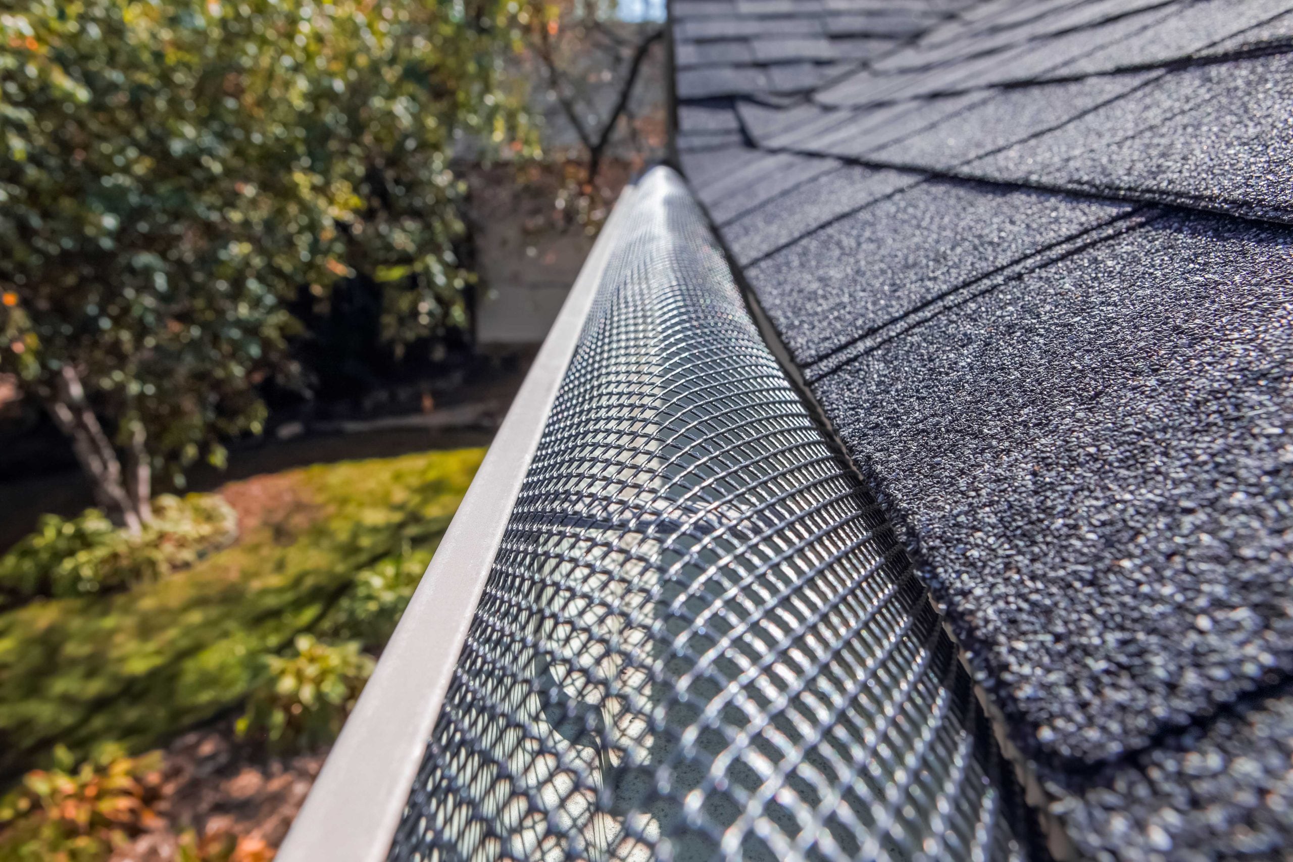Gutter Guards services in Alexandria